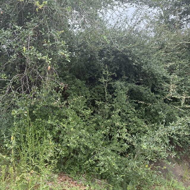 0 Highway 35 Off Property Photo 4