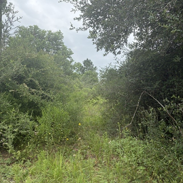 0 Highway 35 Off Property Photo 5
