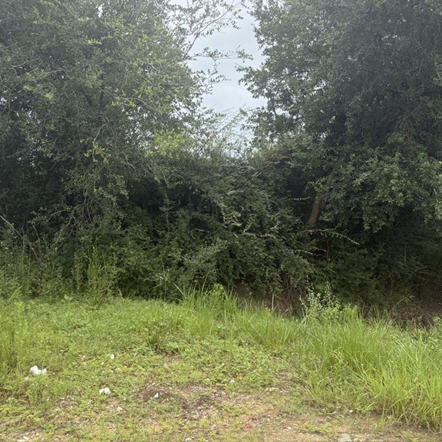 0 Highway 35 Off Property Photo 6
