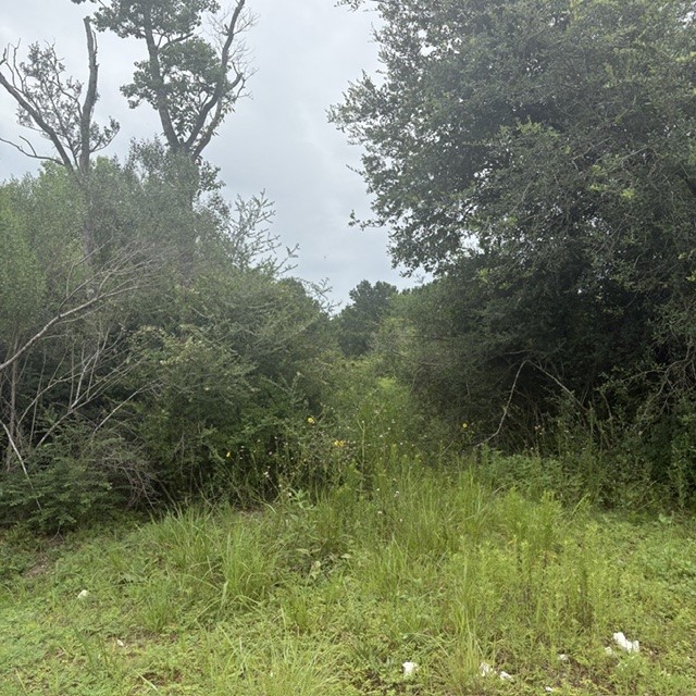 0 Highway 35 Off Property Photo 7