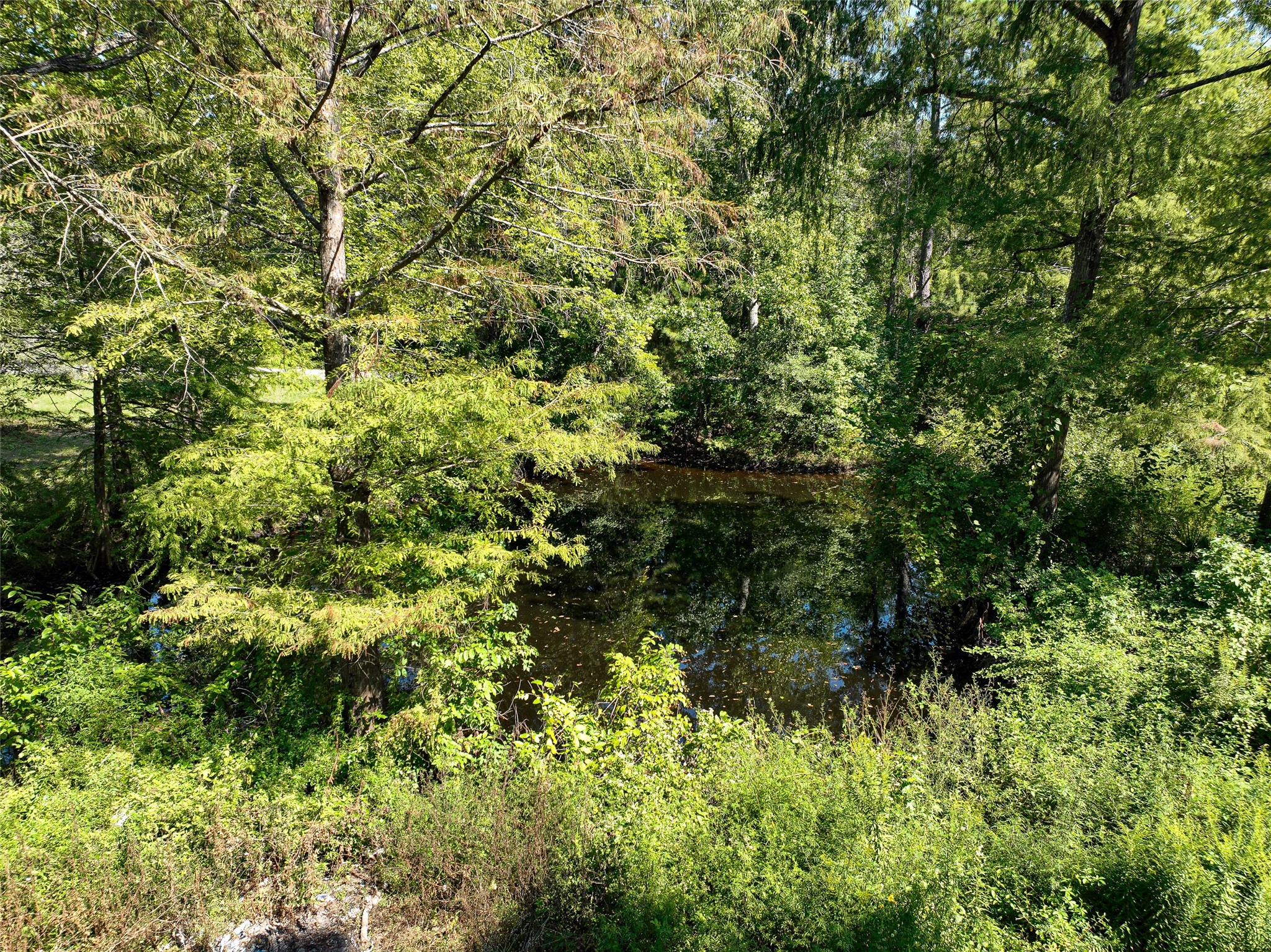 166 County Road 3707 Property Photo 17