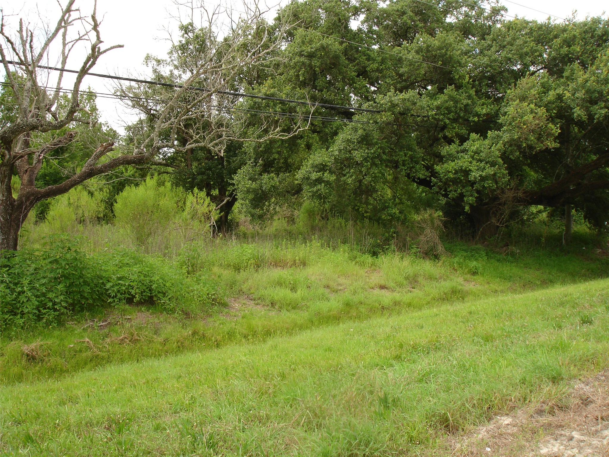 3207 W Parkwood Avenue Property Photo 14