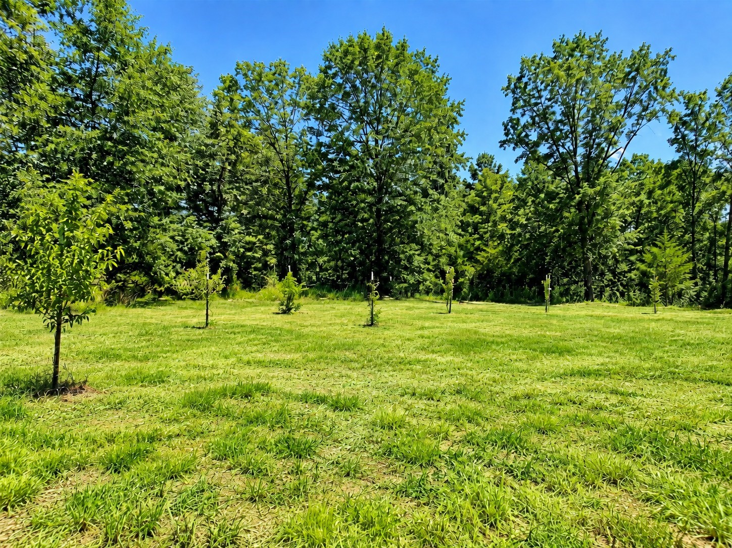 0 Cr 236 Property Photo 4