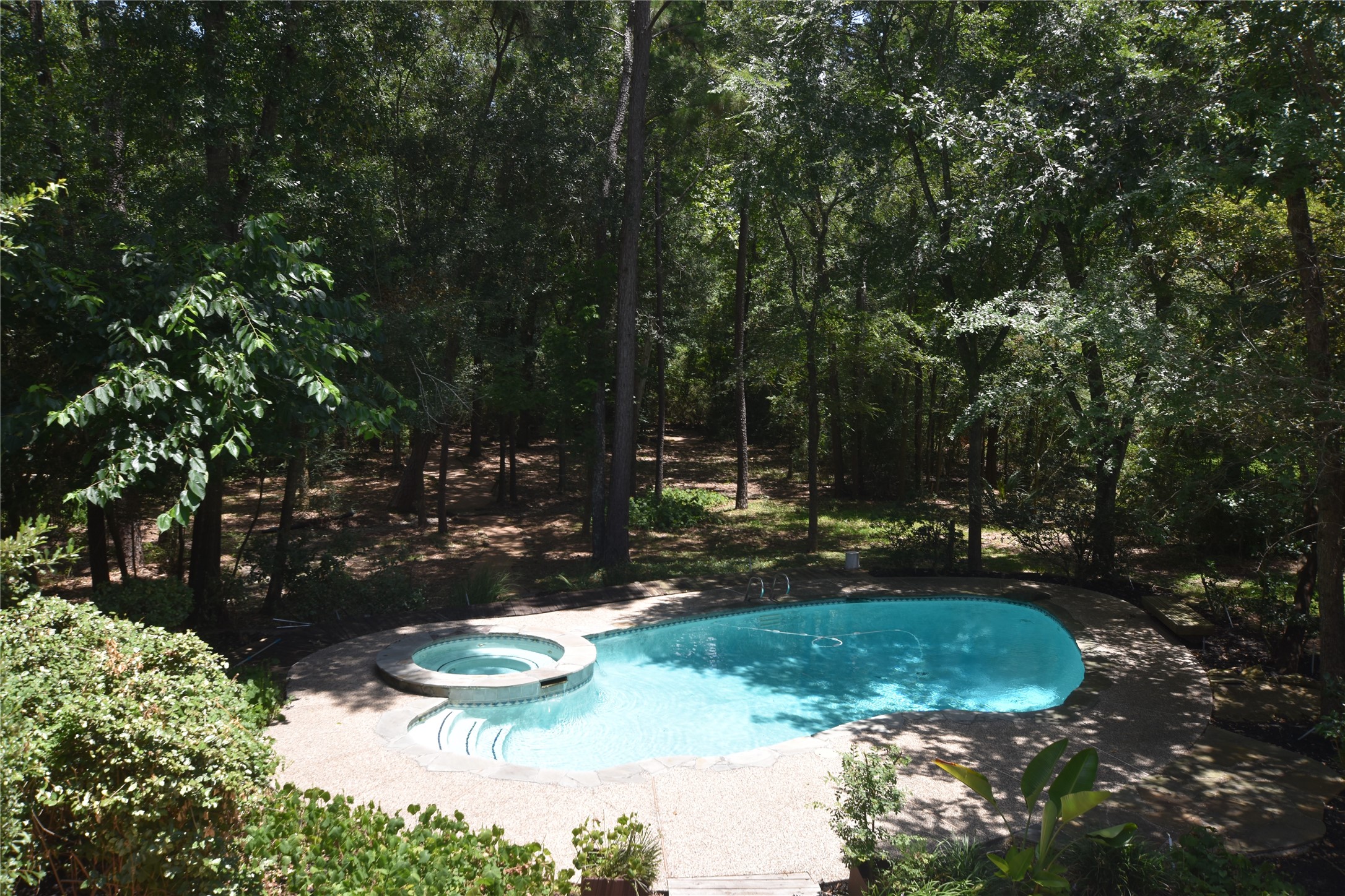 42 Skyflower Drive Property Photo 22