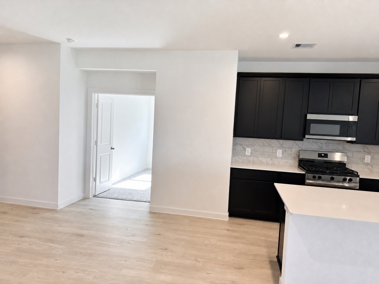 30414 Brixton Village Street Property Photo 8