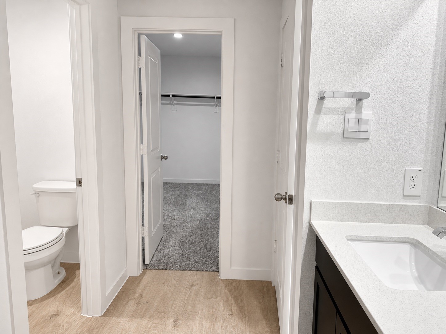 30414 Brixton Village Street Property Photo 11