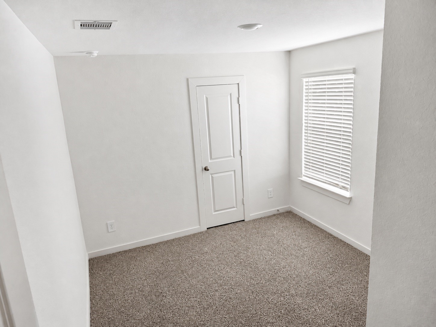 30414 Brixton Village Street Property Photo 18