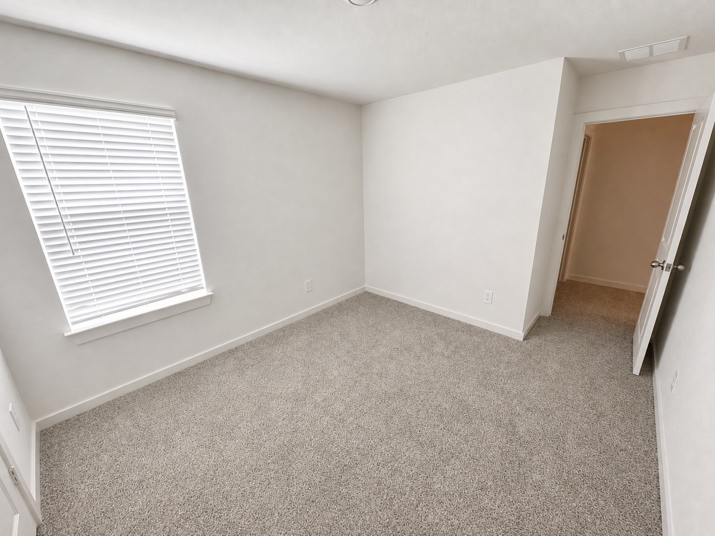 30414 Brixton Village Street Property Photo 19