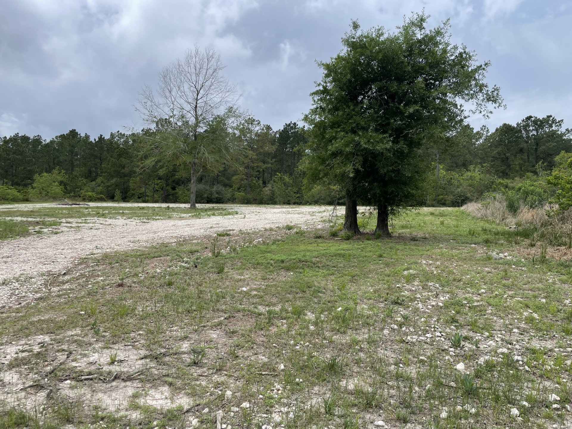 0000 Continental Parkway Parkway Property Photo 1