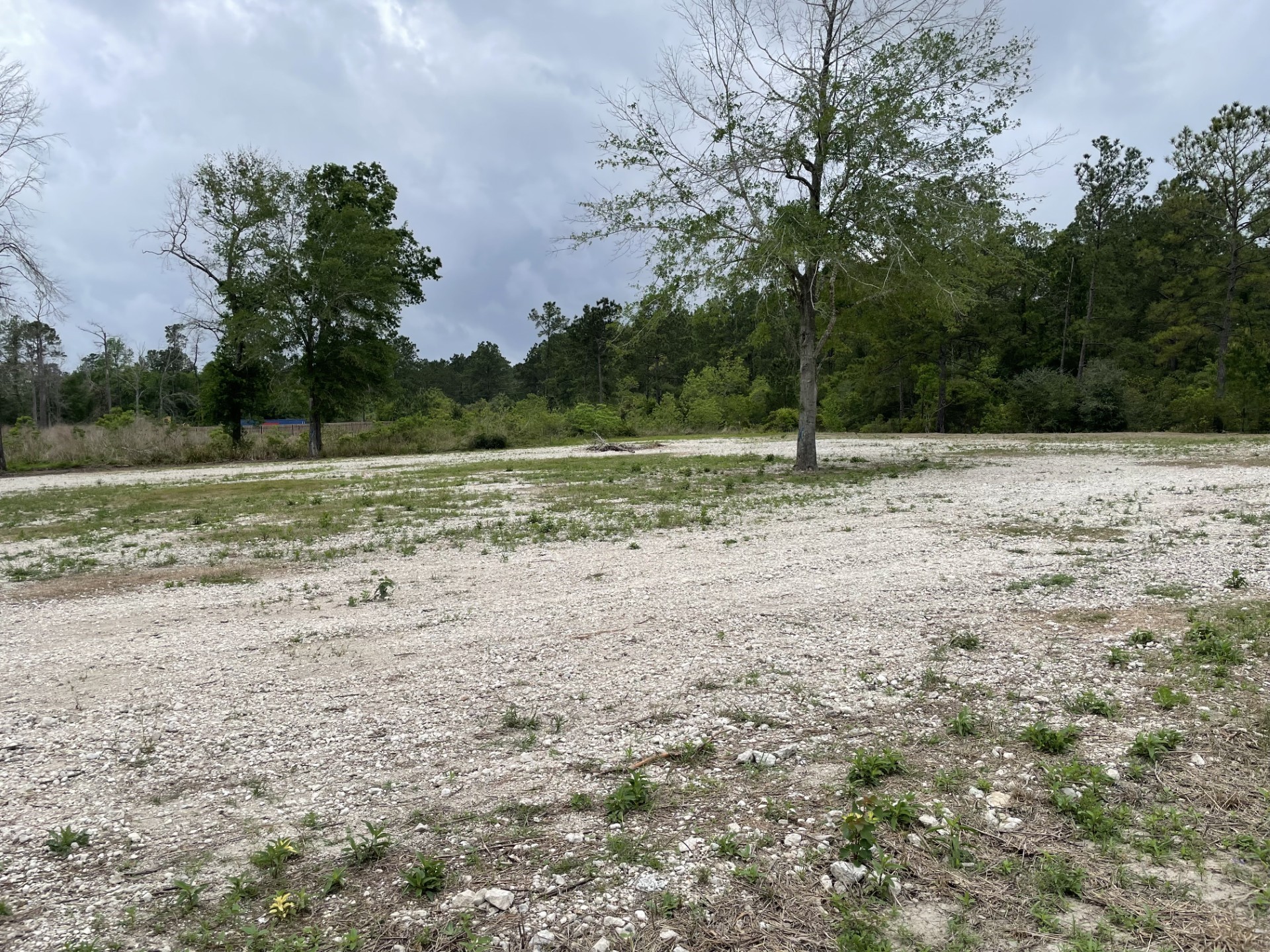 0000 Continental Parkway Parkway Property Photo 4