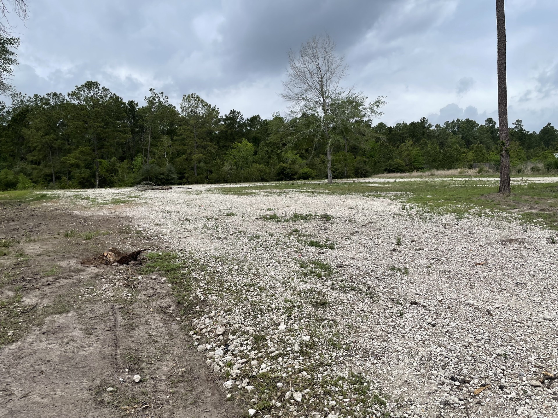 0000 Continental Parkway Parkway Property Photo 12