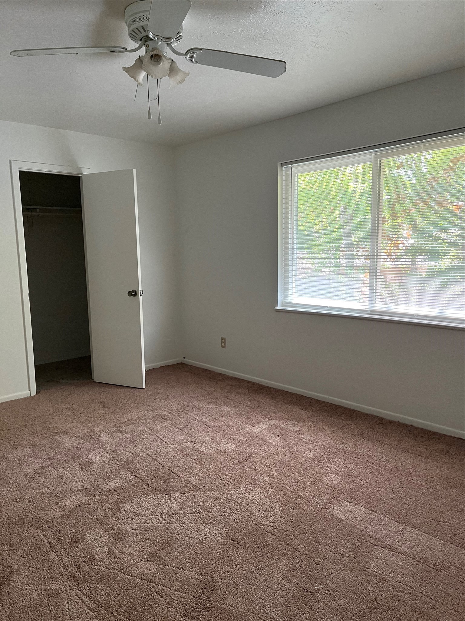 616-a Normal Park Drive A Property Photo 13