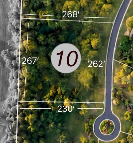 Tdb Lot 10 Bellinger Road Property Photo 7