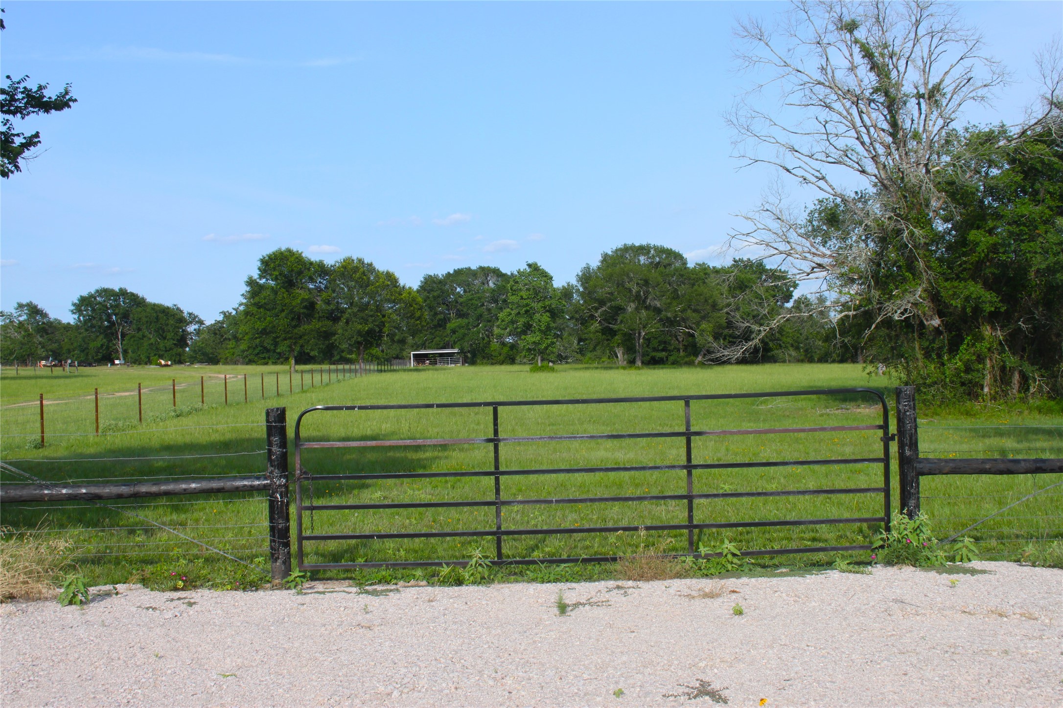 27038 Muckelroy Road Property Photo 1
