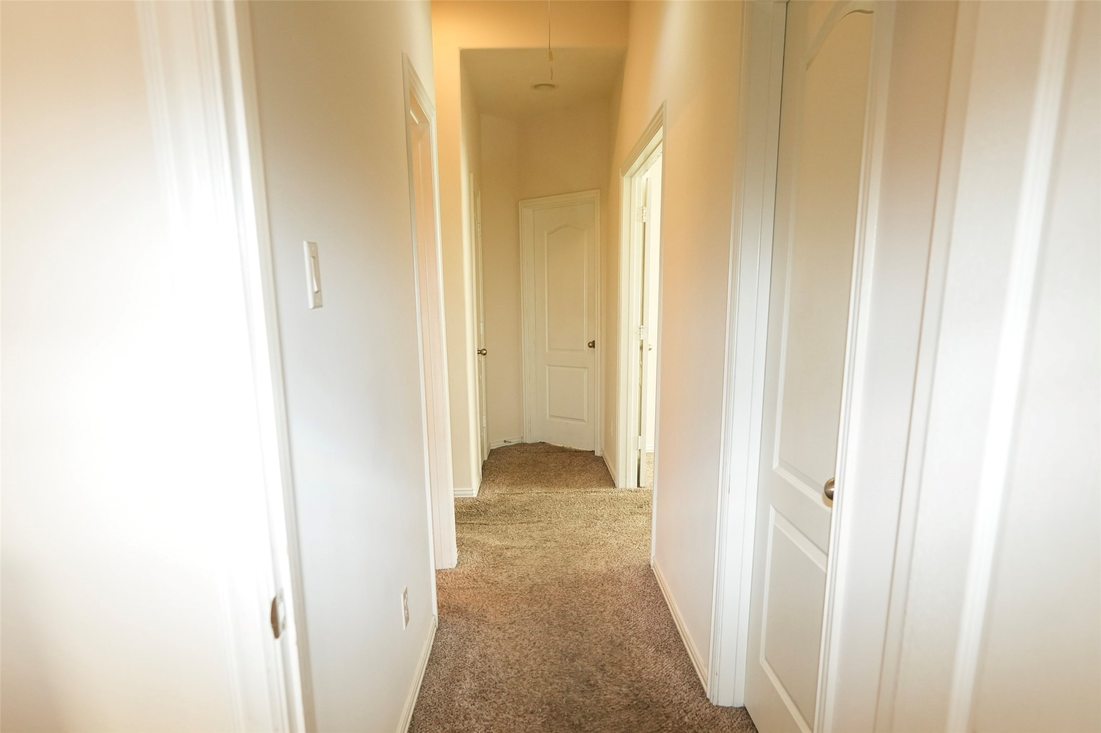 2919 Silverchase Meadows Drive Property Photo 39