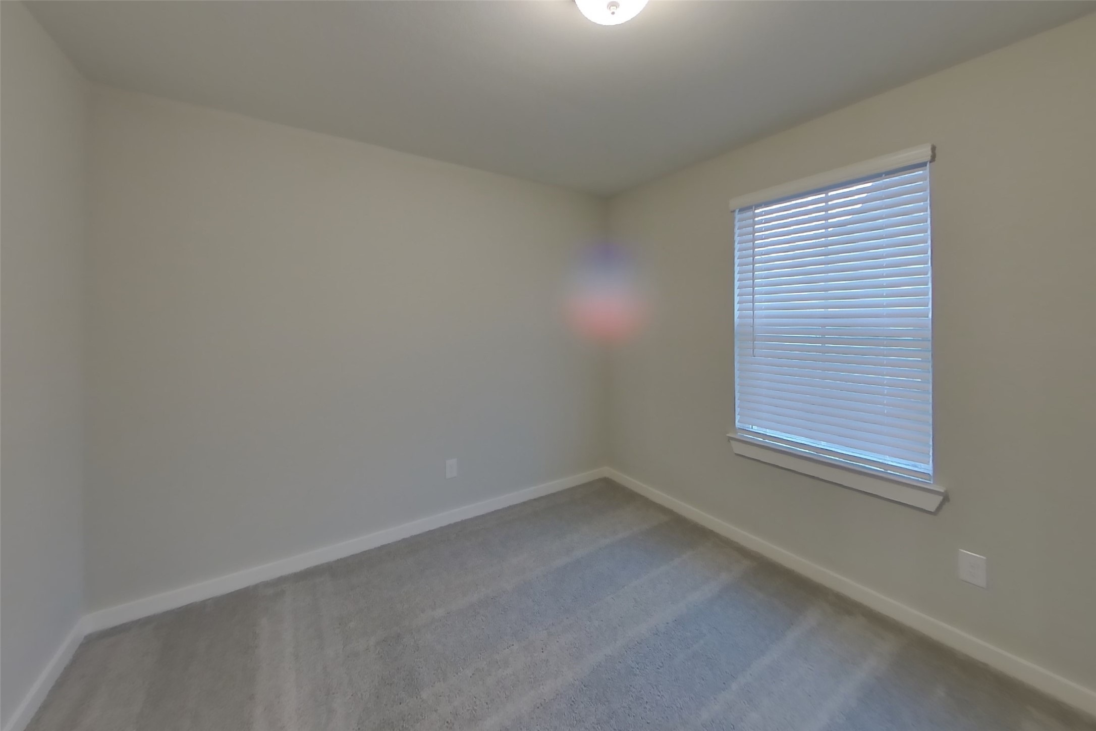 22628 Terrazzo Drive Property Photo 11