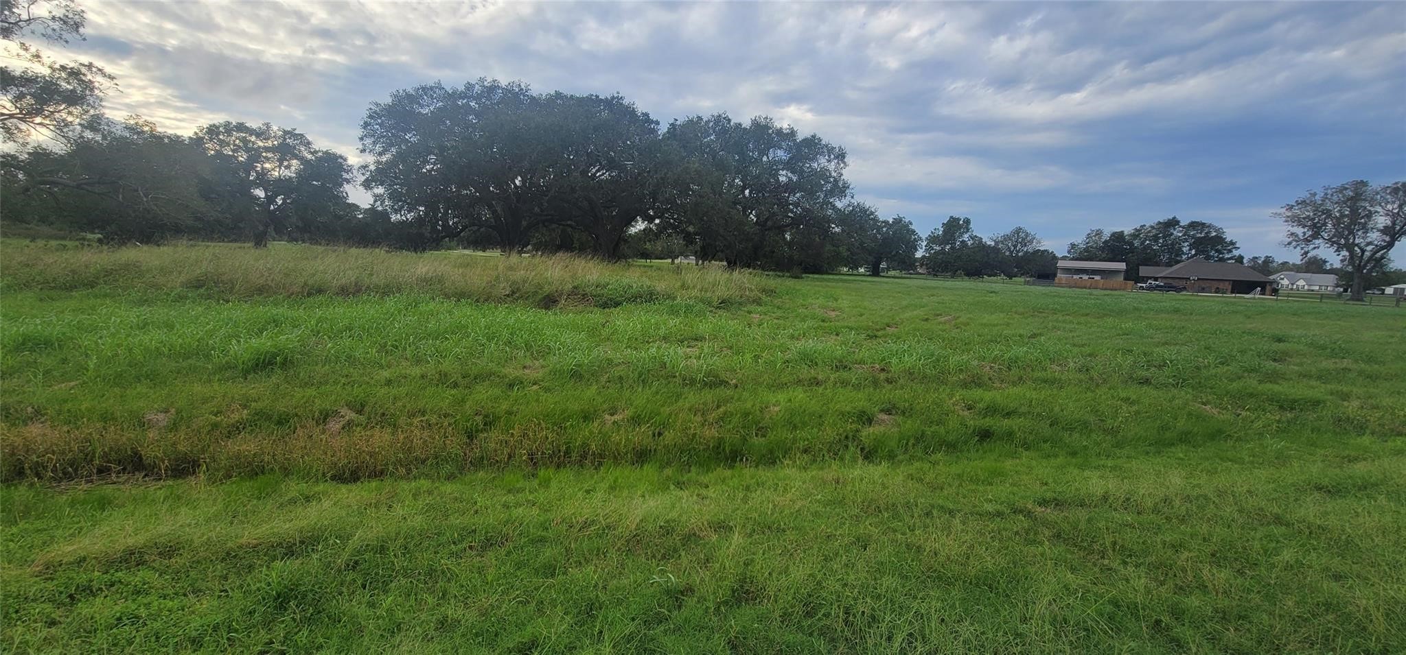 1338 Mill Road Property Photo 4