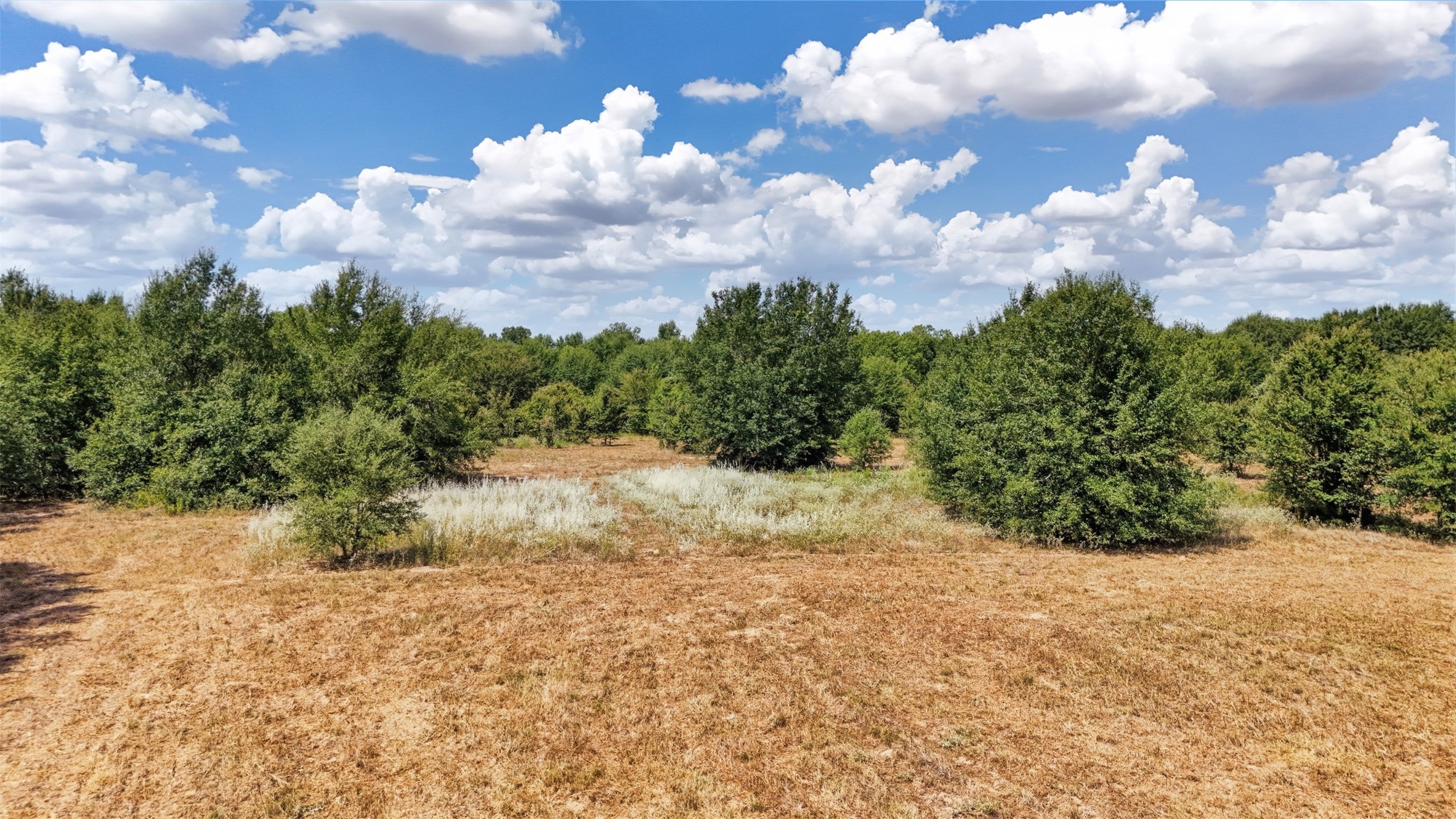 11.86 Acres Little Mississippi Cemetery Road Property Photo 6