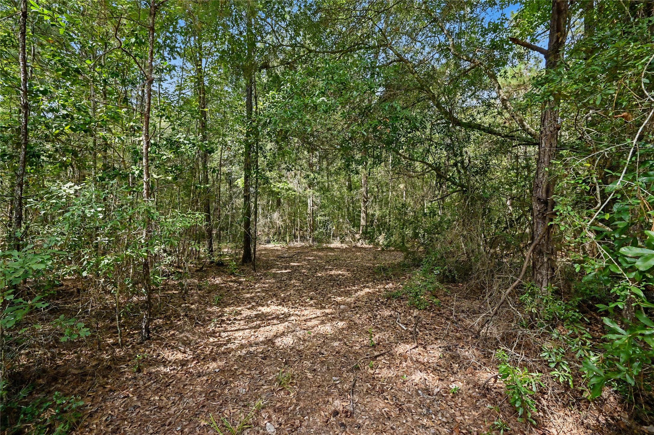 1153 Smith Lane Property Photo 2