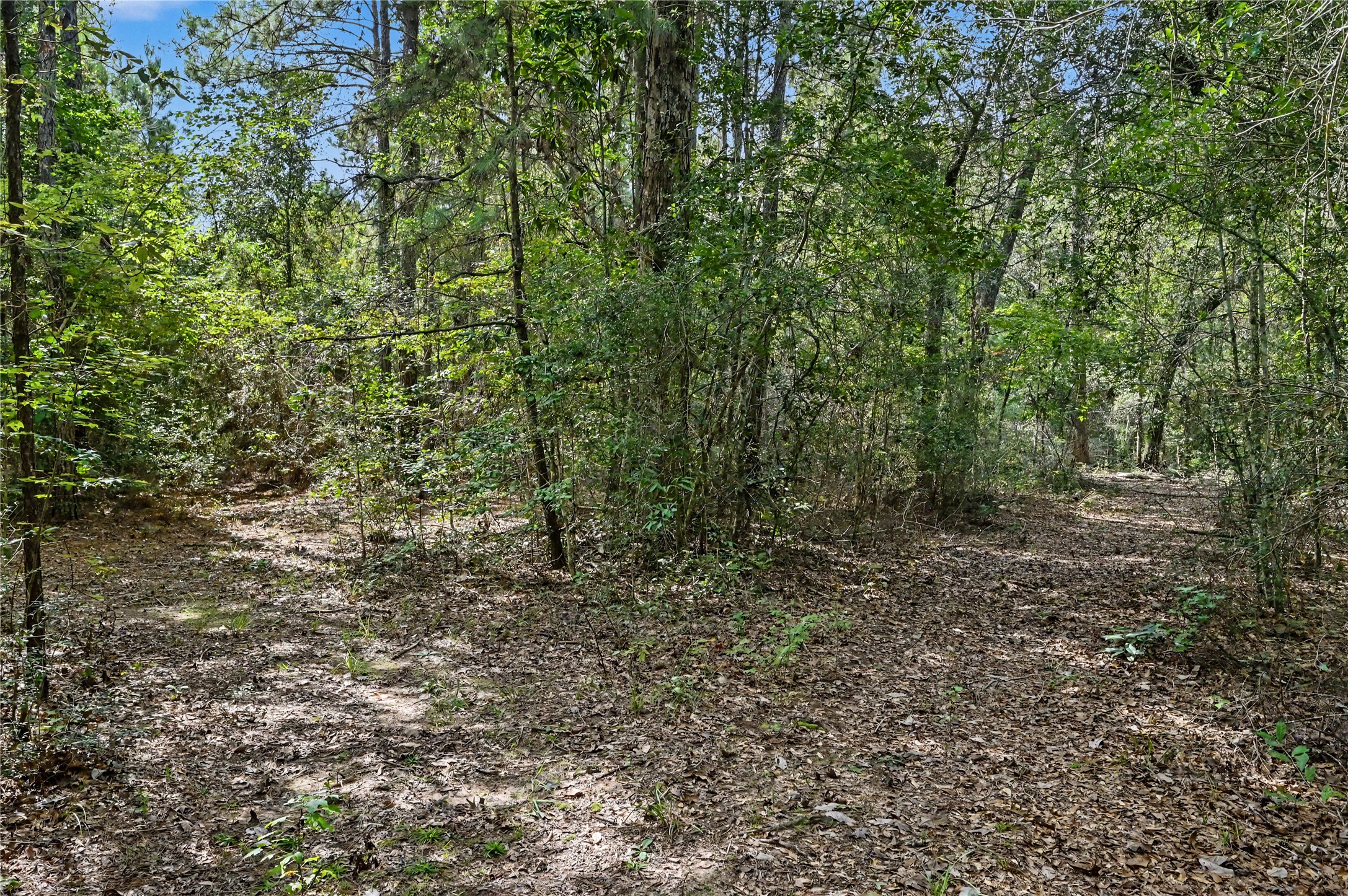 1153 Smith Lane Property Photo 4