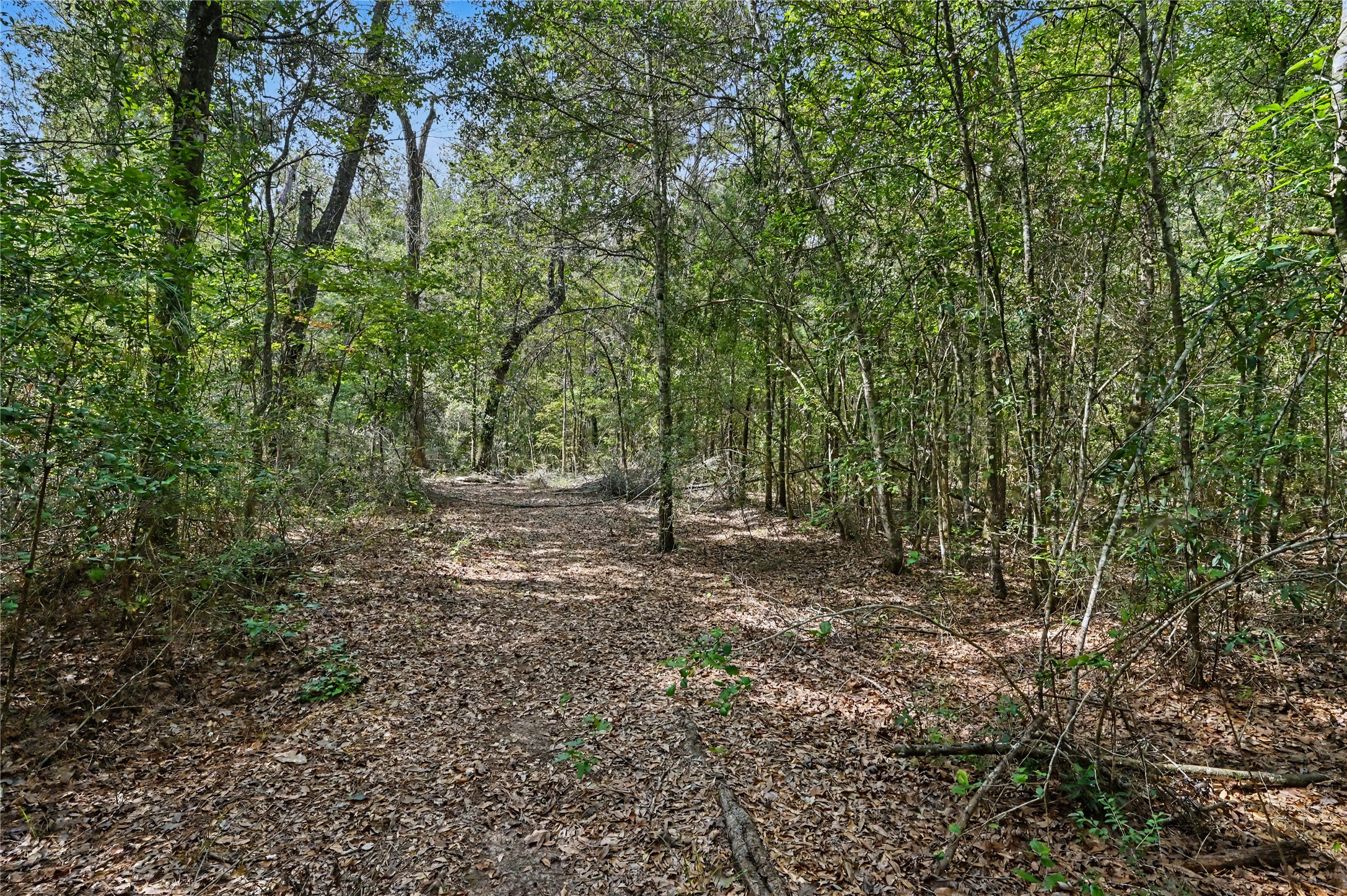 1153 Smith Lane Property Photo 6