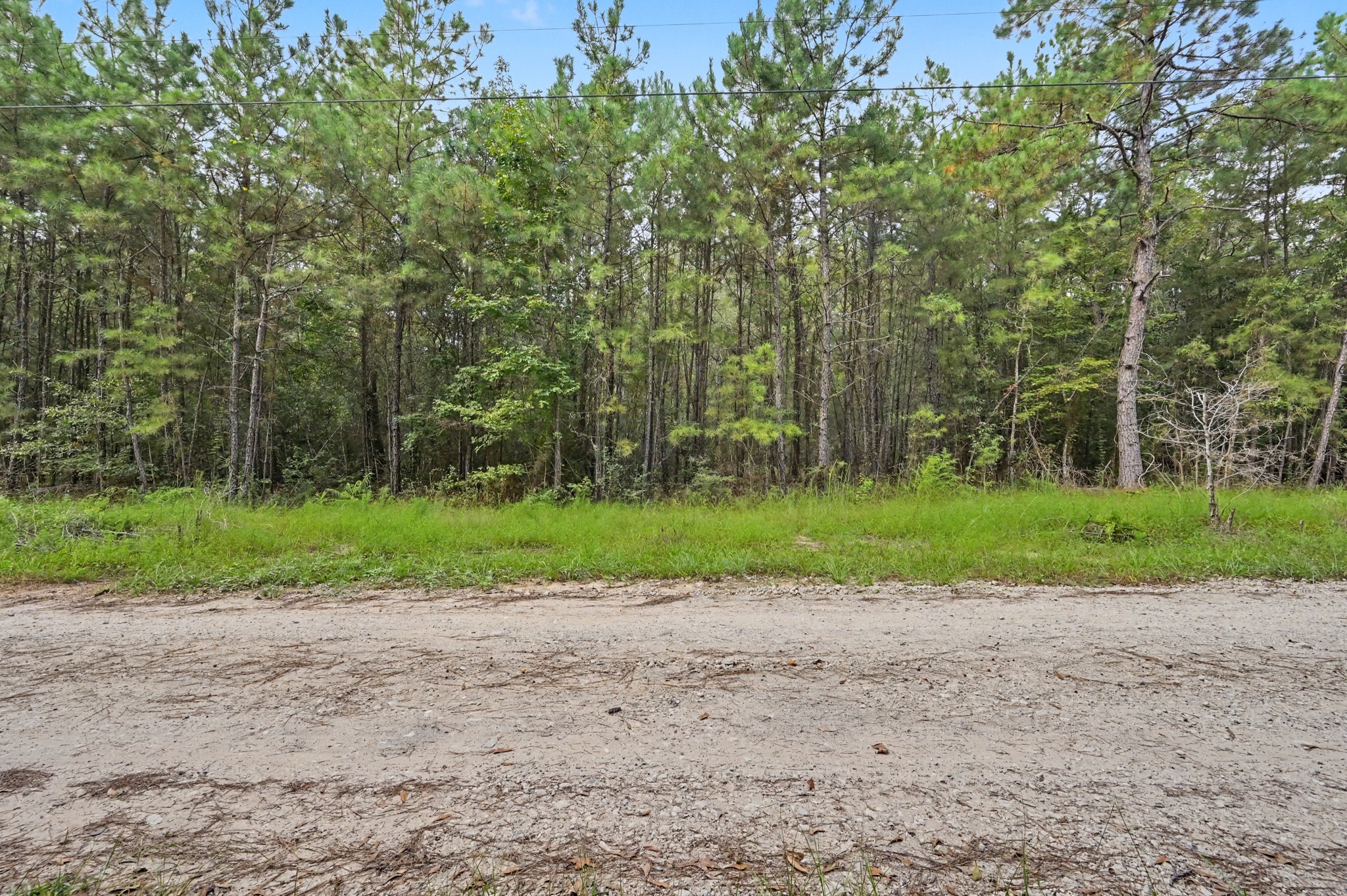 1153 Smith Lane Property Photo 13