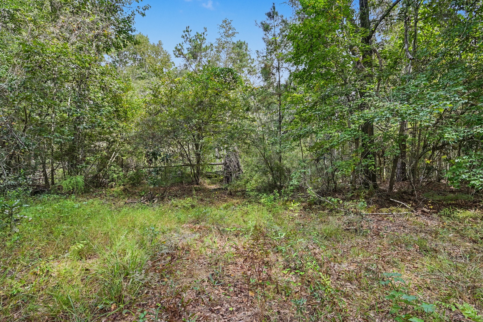 1153 Smith Lane Property Photo 14