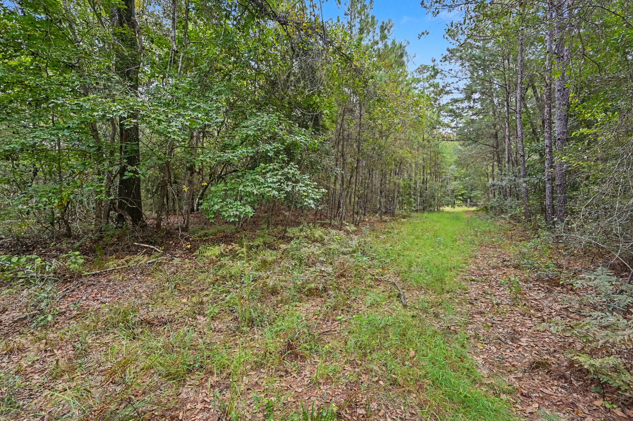 1153 Smith Lane Property Photo 15
