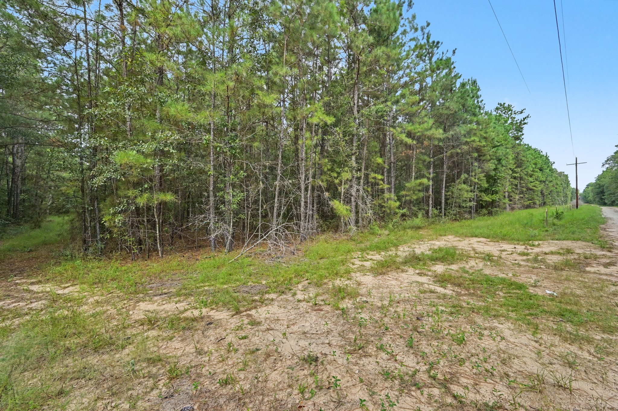 1153 Smith Lane Property Photo 17