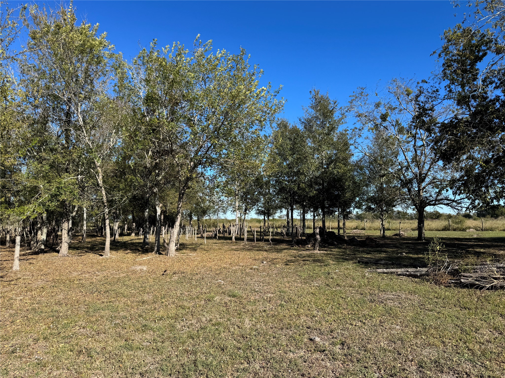 0 Mesquite Road Property Photo 3