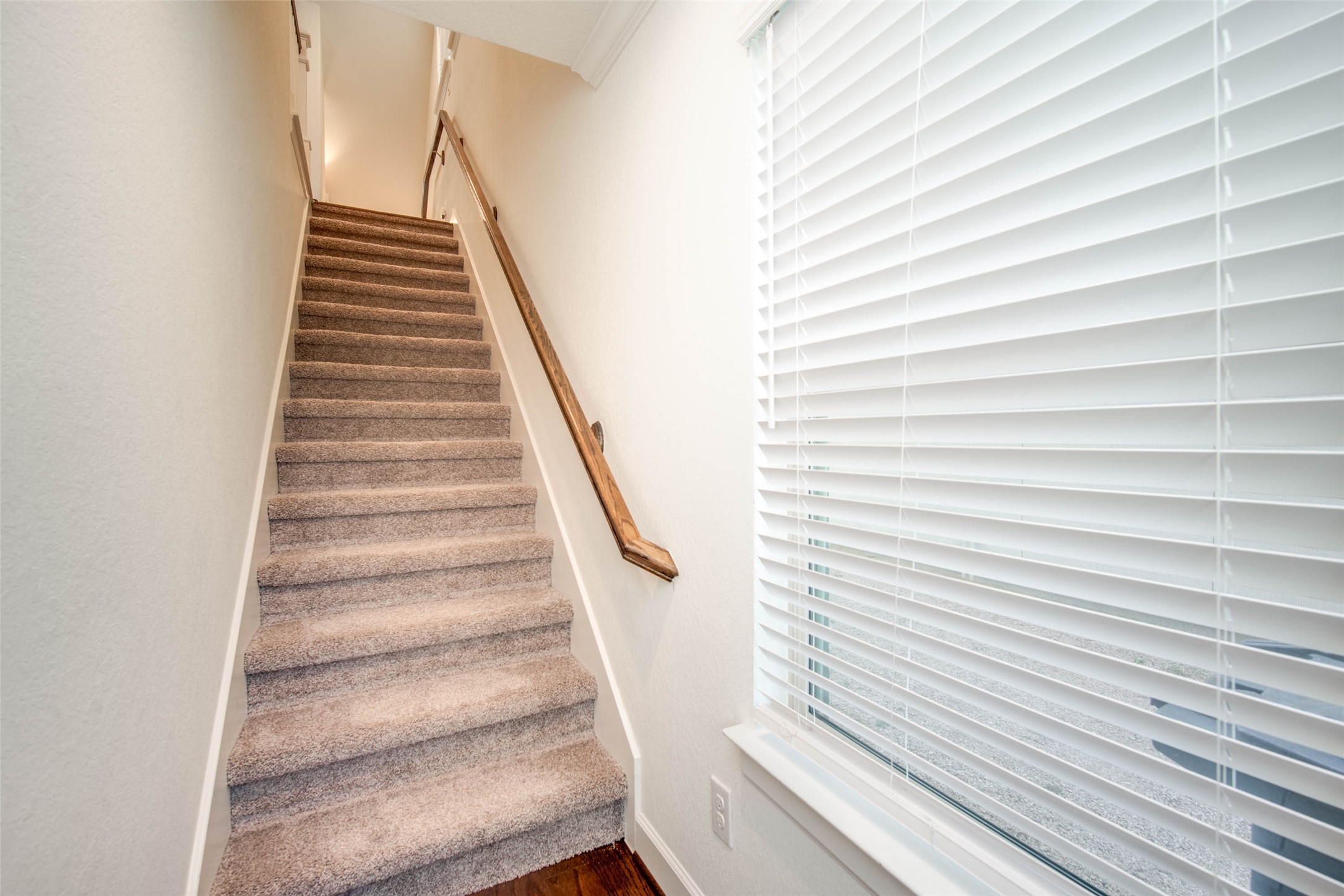 10709 Centre Forest Drive Property Photo 5