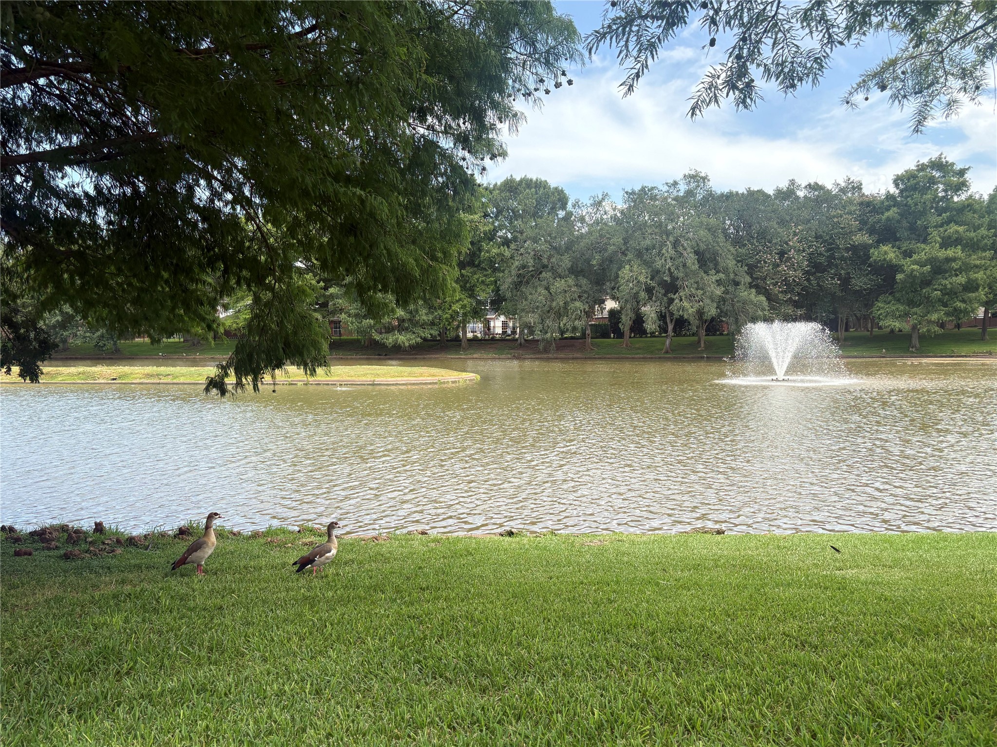 3230 Serene Oak Drive Property Photo 42