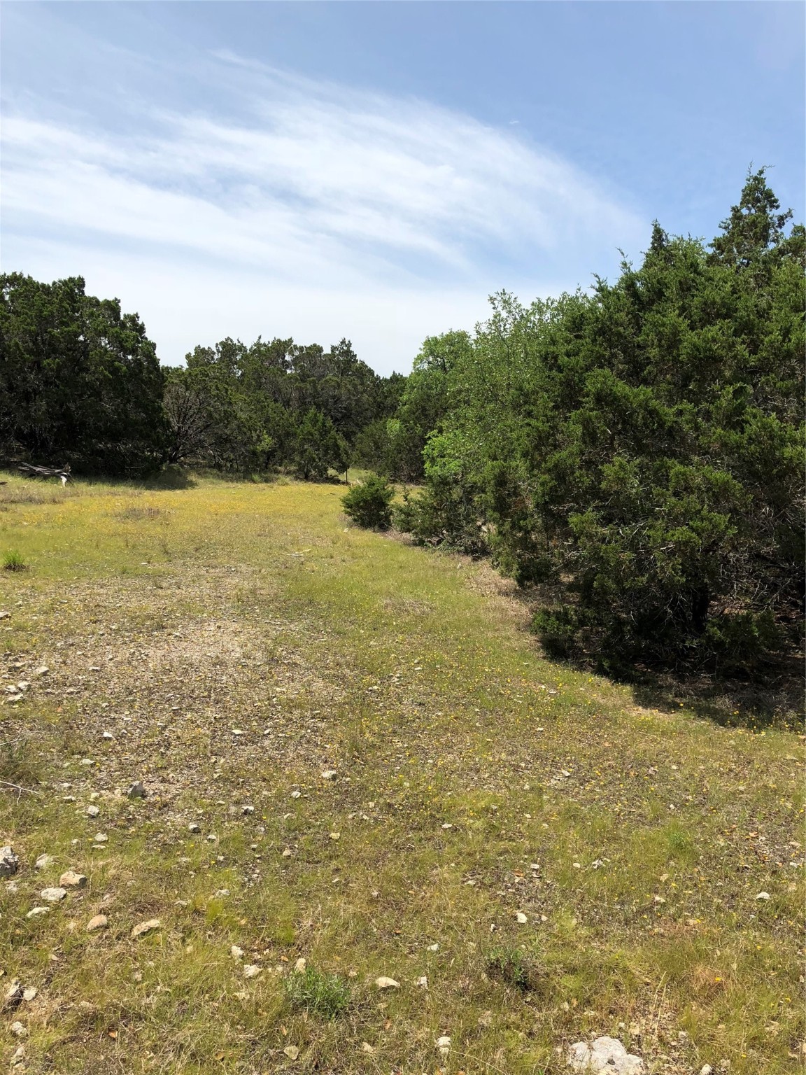 857 Rutherford Property Photo 1
