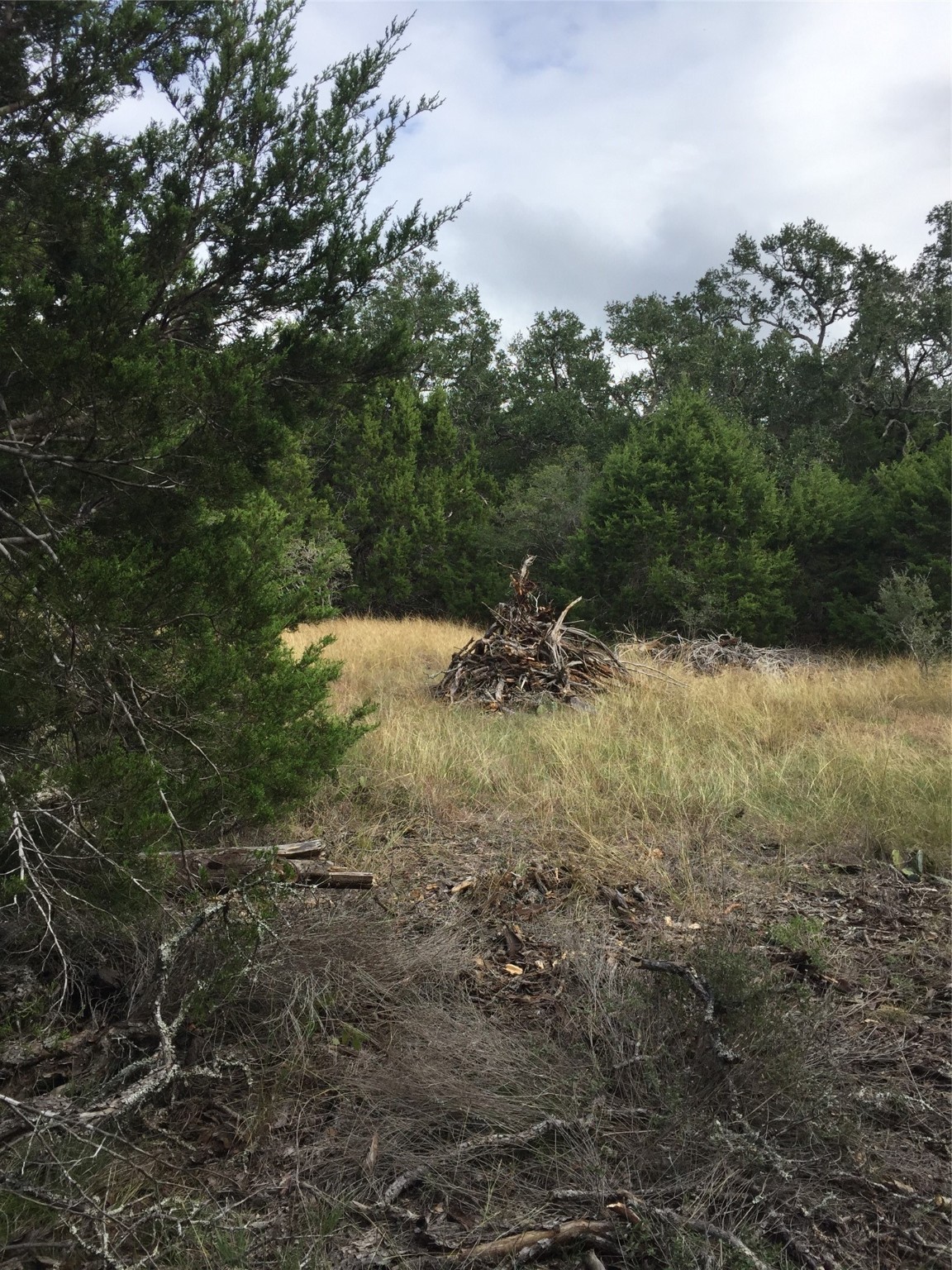 857 Rutherford Property Photo 4