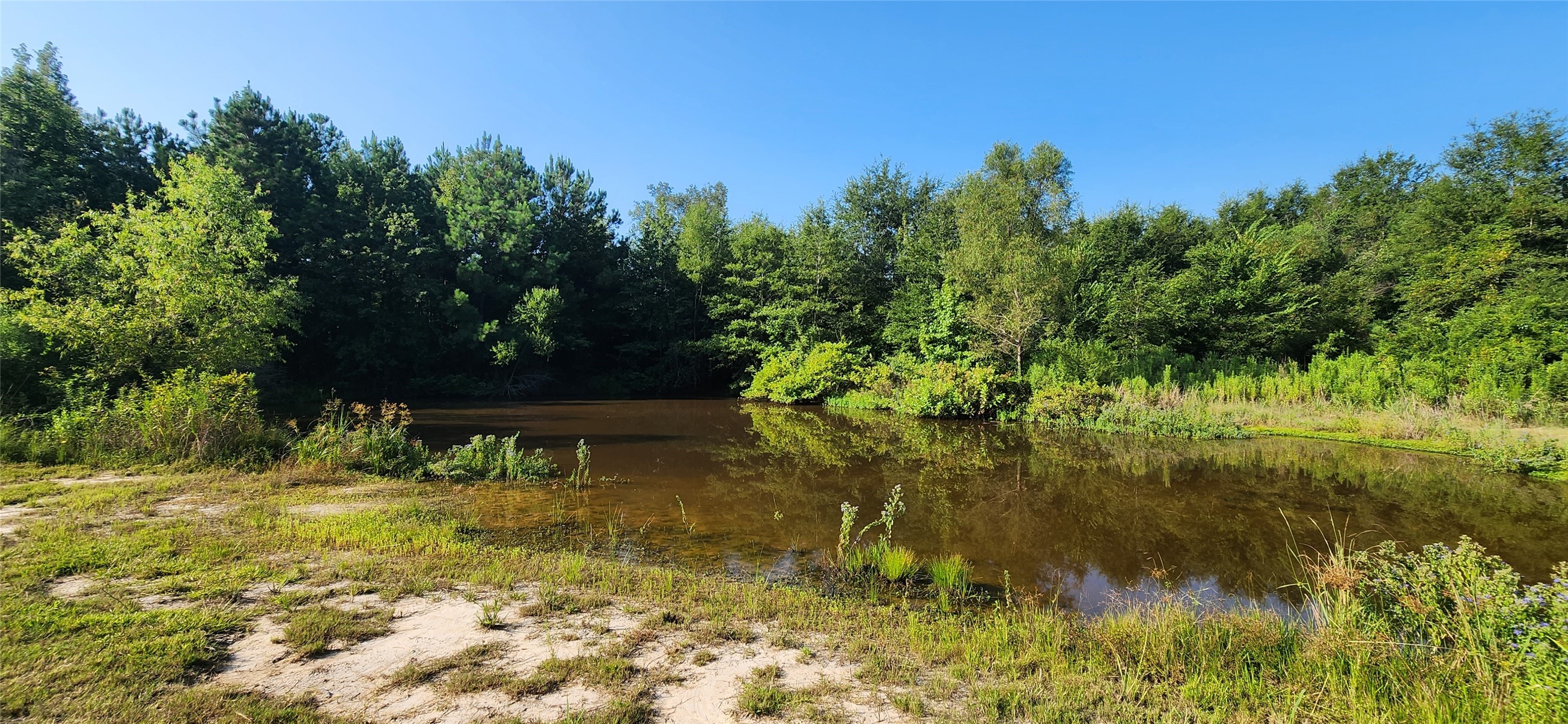 5680 State Highway 43 S Property Photo 5