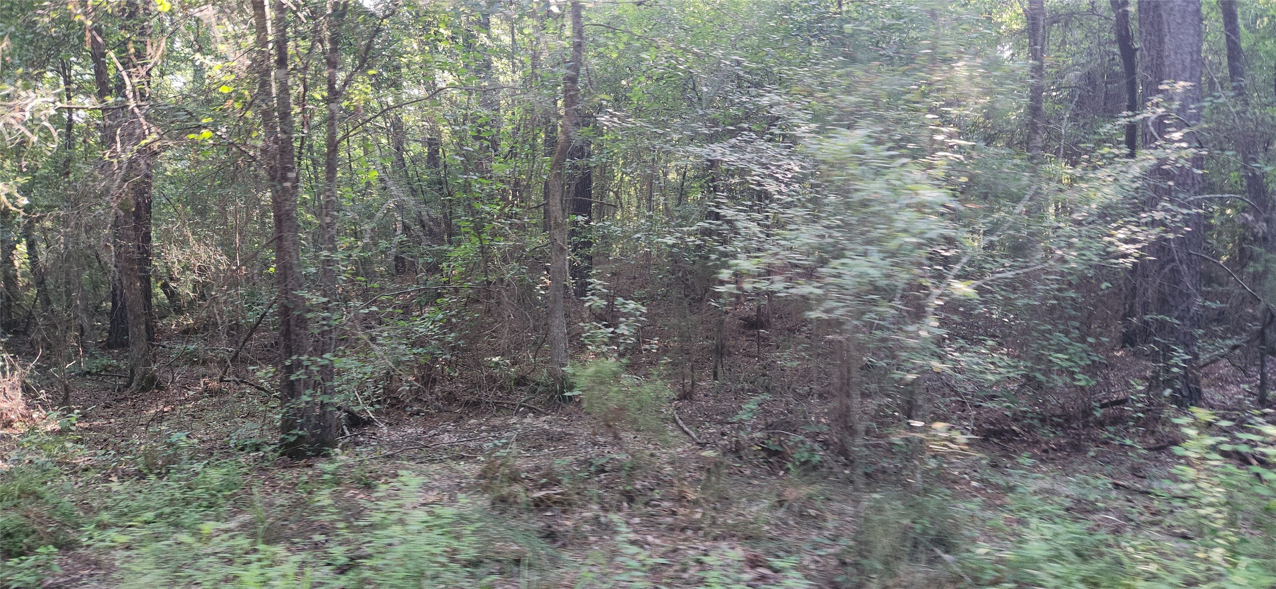 5680 State Highway 43 S Property Photo 9