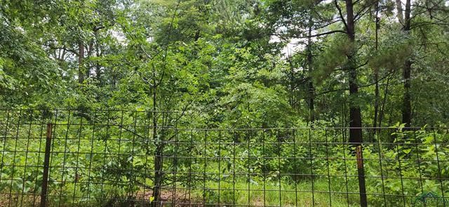 5680 State Highway 43 S Property Photo 10