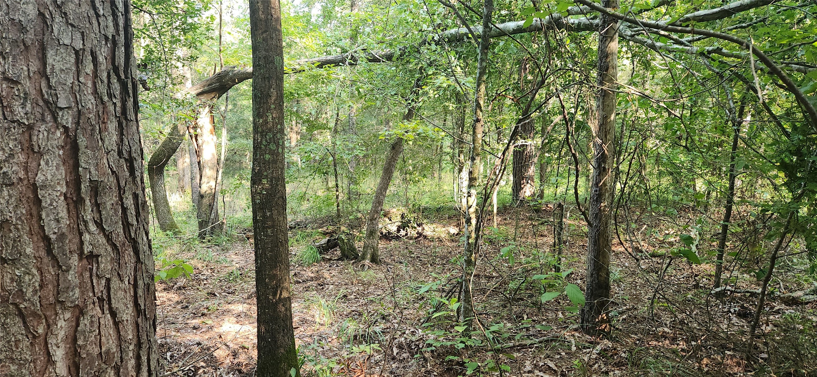 5680 State Highway 43 S Property Photo 17