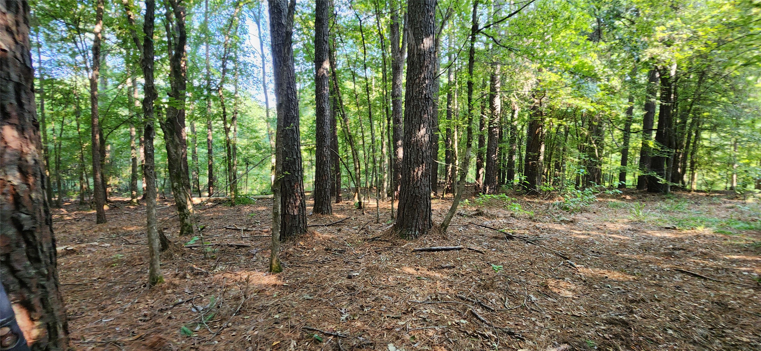 5680 State Highway 43 S Property Photo 21