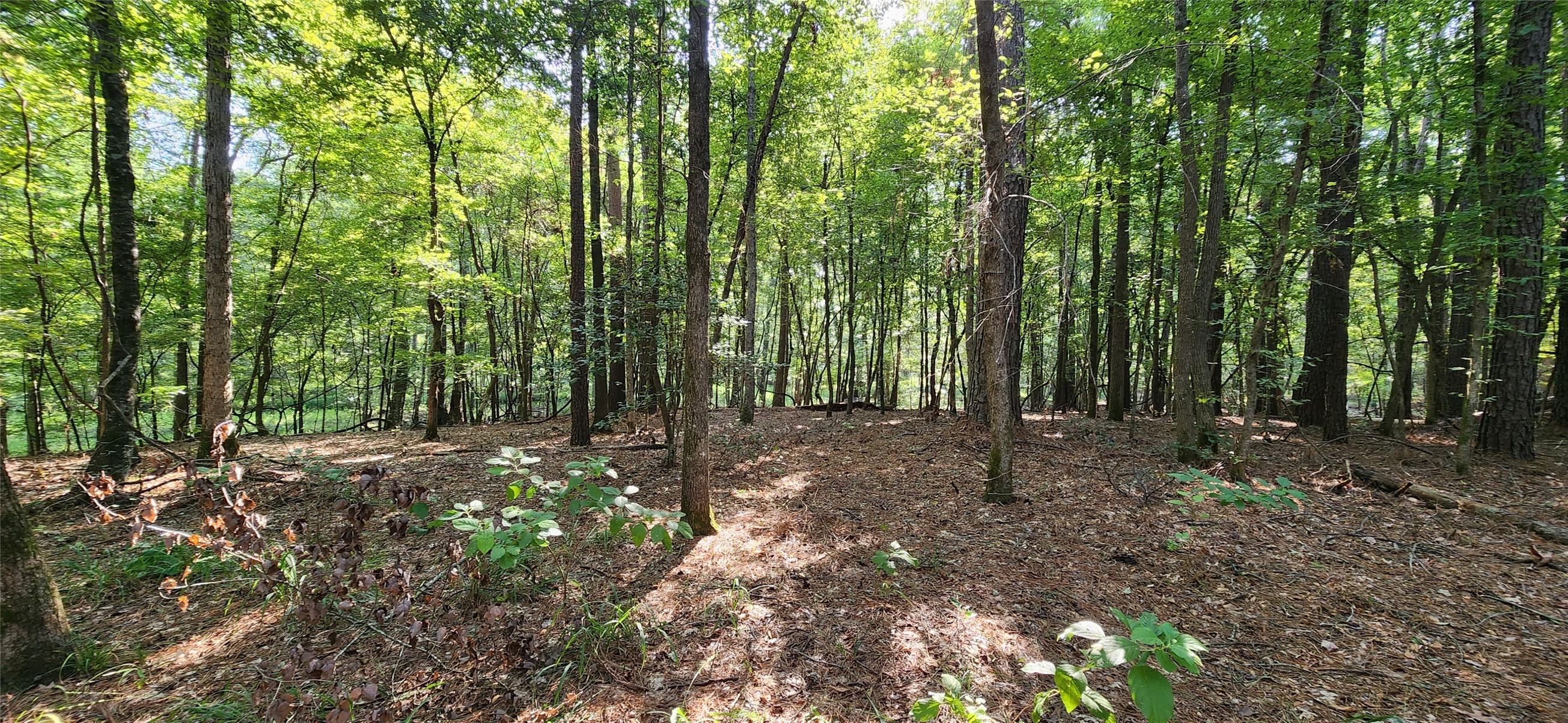 5680 State Highway 43 S Property Photo 22
