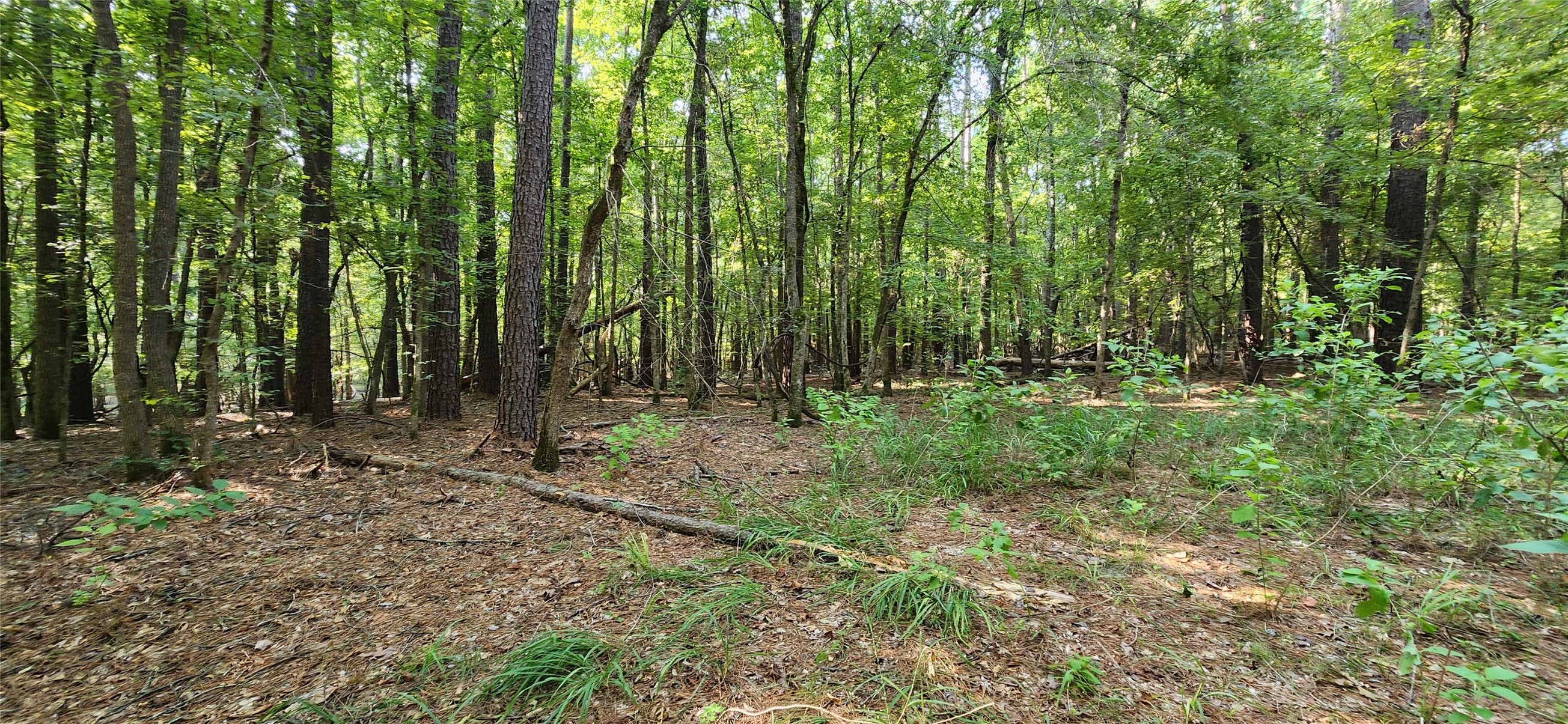 5680 State Highway 43 S Property Photo 23