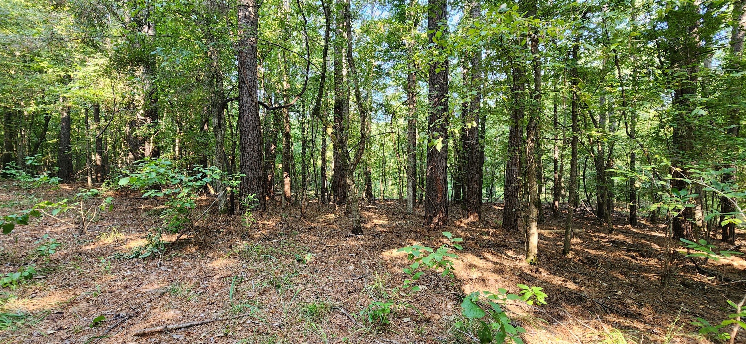5680 State Highway 43 S Property Photo 24
