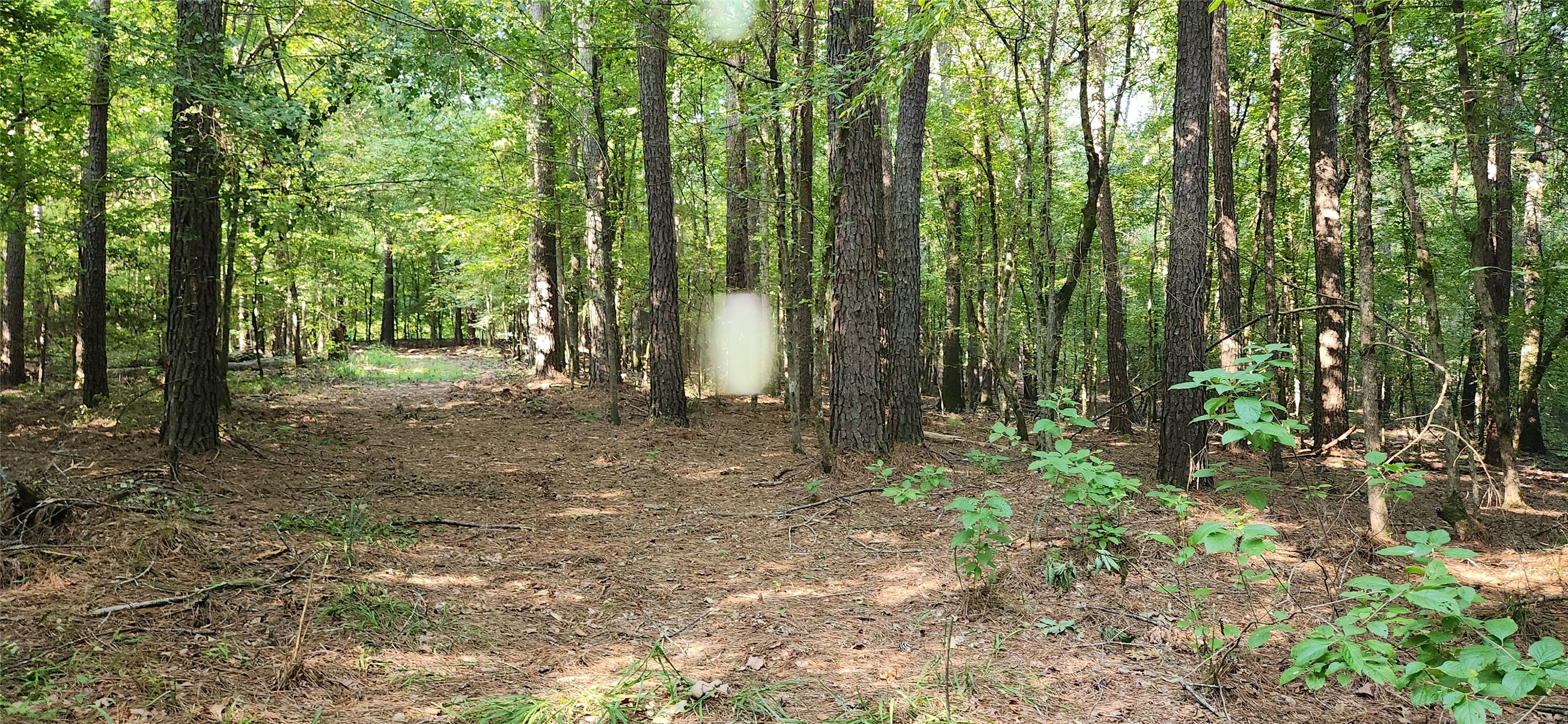 5680 State Highway 43 S Property Photo 25