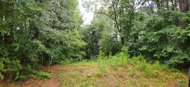 5680 State Highway 43 S Property Photo 29