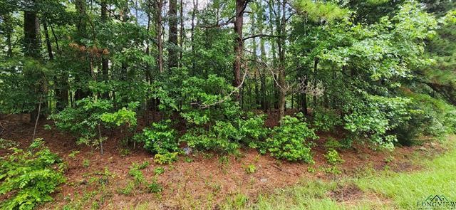 5680 State Highway 43 S Property Photo 30