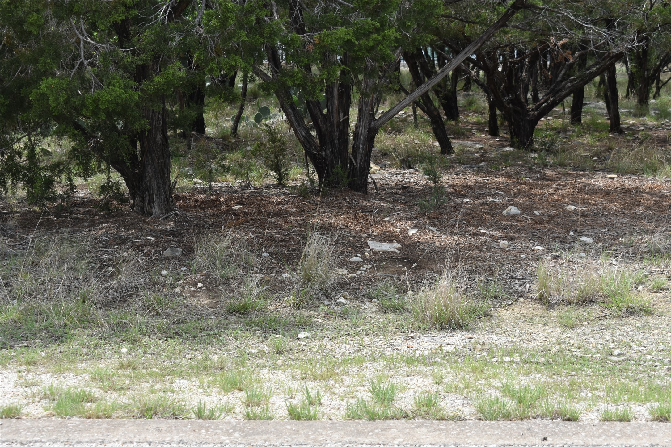Lot 200 Harbor Town Drive Property Photo 1