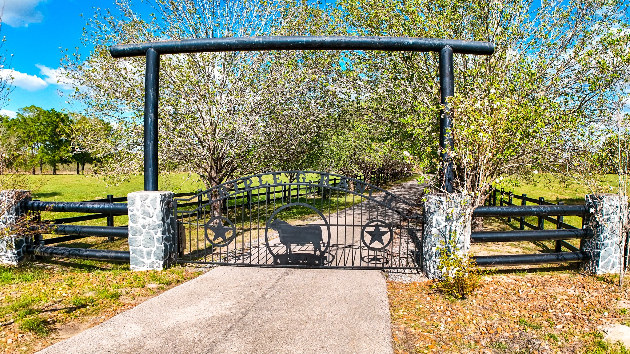 4340 Highway 1131 Property Photo 2