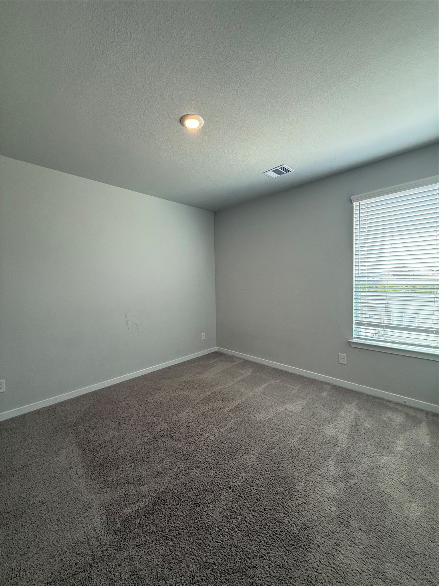 12519 Coastal Bend Way Property Photo 19