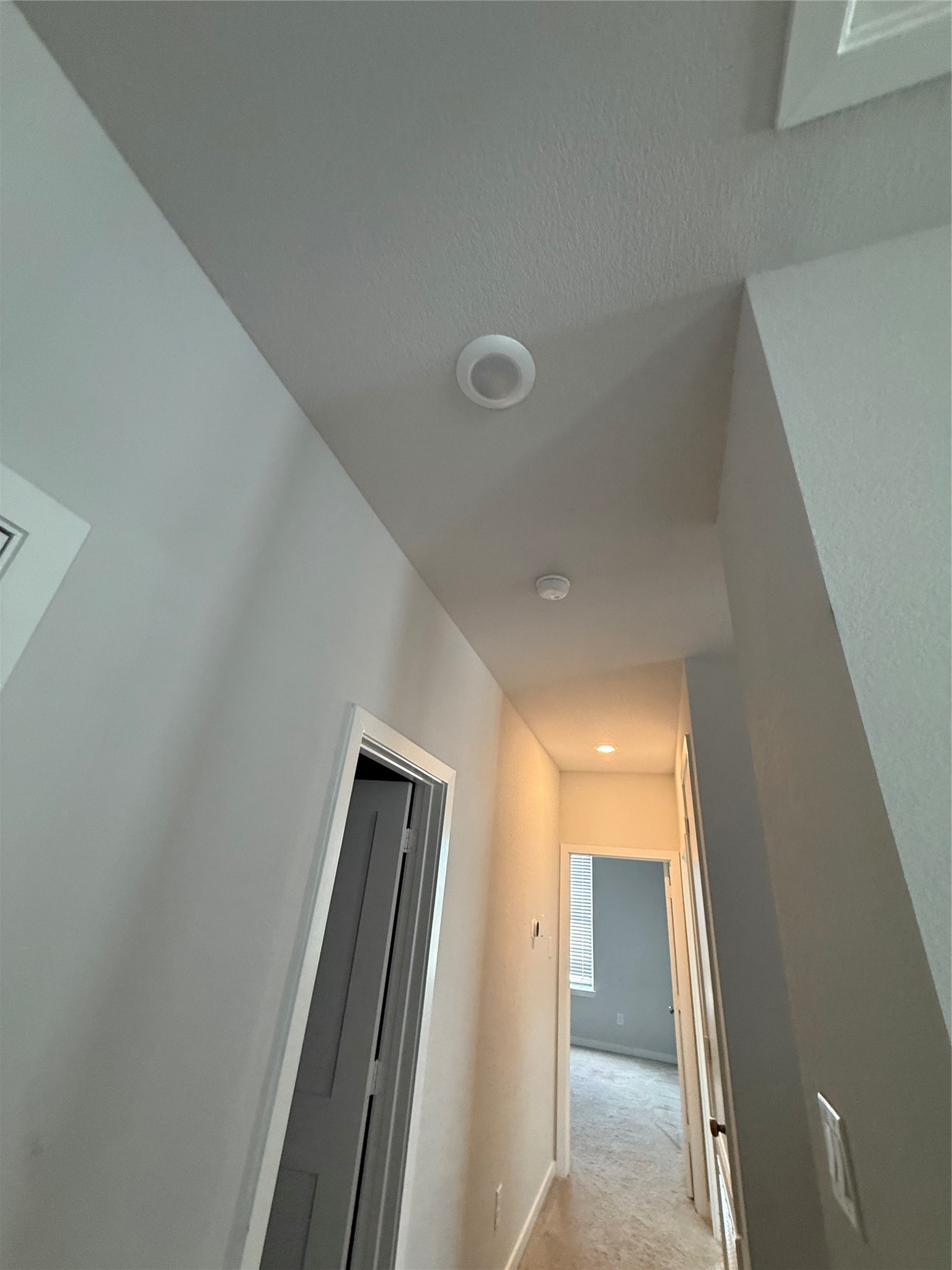 12519 Coastal Bend Way Property Photo 22