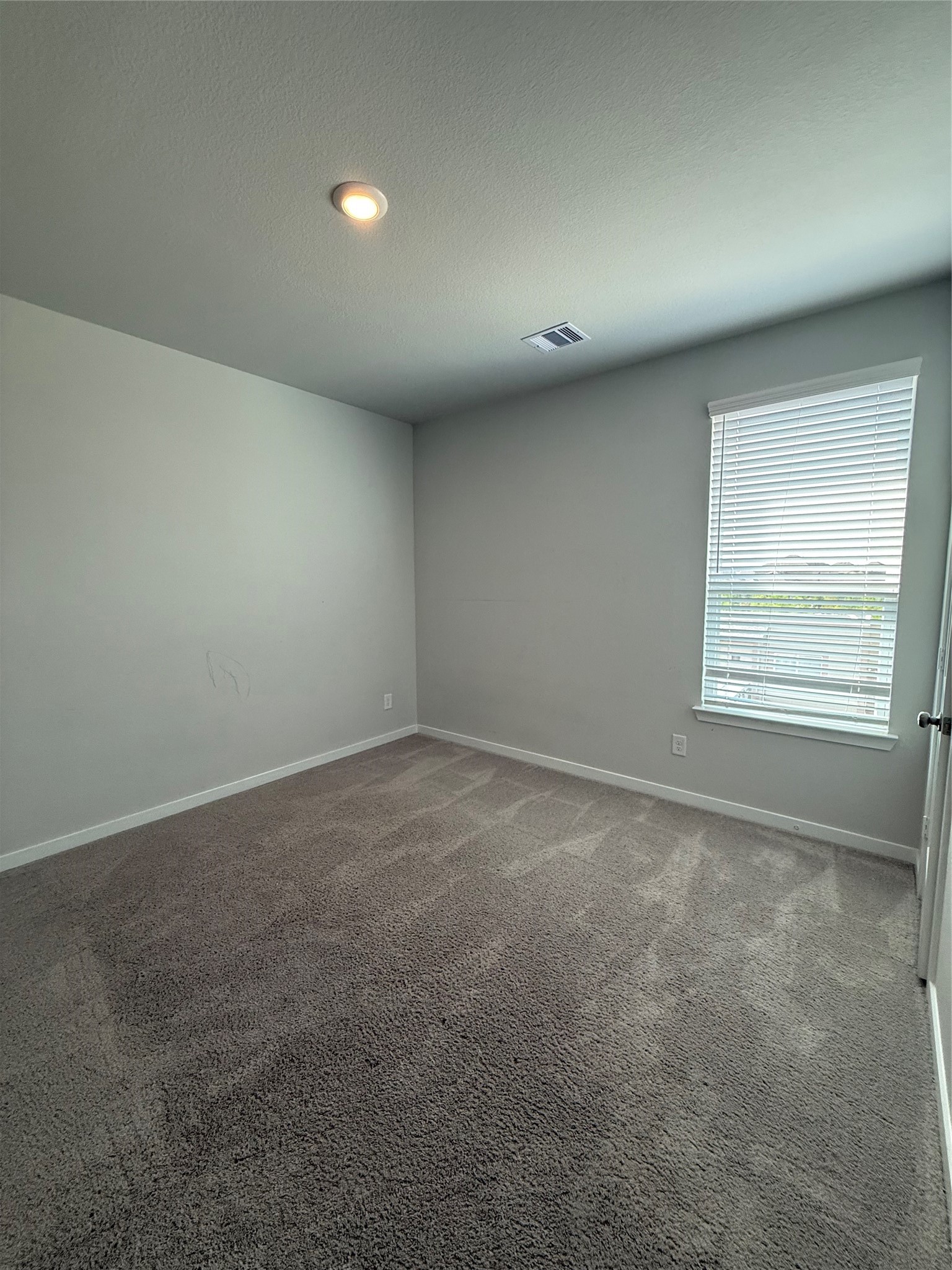 12519 Coastal Bend Way Property Photo 26
